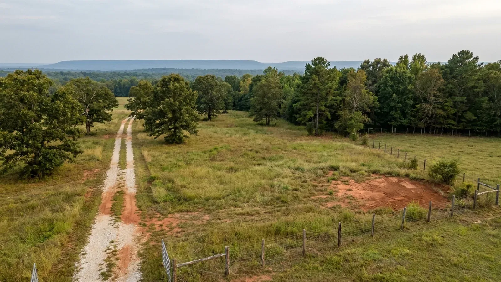 Aerial view of an undeveloped rural lot with cleared grass, an oak and hickory treeline with shortleaf pines, and a pale gravel access track.